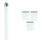 Confezione Multipack 25x Philips T5 Short 6W - 640 Bianco Freddo | 21cm