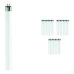 Confezione Multipack 25x Philips T5 Short 13W - 640 Bianco Freddo | 52cm