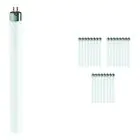 Confezione Multipack 25x Philips T5 Short 13W - 640 Bianco Freddo | 52cm