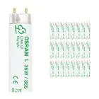 Confezione Multipack 25x Osram T8 Lumilux 36W - 865 Luce del Giorno | 120cm